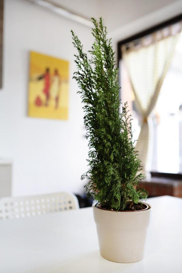 카스텔몰라 Casa Pirri 아파트 외부 사진